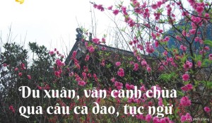 Du xuân, vãn cảnh chùa qua câu ca dao, tục ngữ