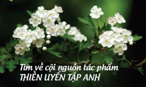 Tìm về cội nguồn tác phẩm THIỀN UYỂN TẬP ANH