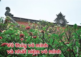 Vô thủy vô minh và nhất niệm vô minh