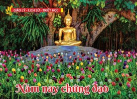 Năm nay chứng đạo