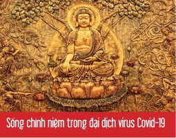 Sống chính niệm trong đại dịch virus Covid-19