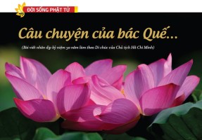 Câu chuyện của bác Quế…