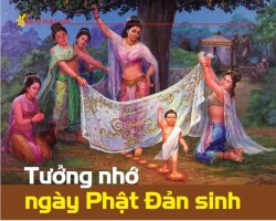 Tưởng nhớ ngày Phật Đản sinh