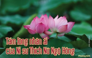 Tấm lòng nhân ái của Ni sư Thích Nữ Ngộ Hồng