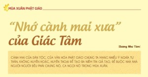 “Nhớ cành mai xưa” của Giác Tâm