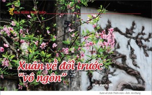 Xuân về đối trước “vô ngôn”