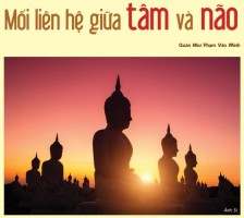 Mối liên hệ giữa tâm và não