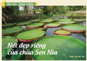 Nét đẹp riêng của chùa Sen Nia