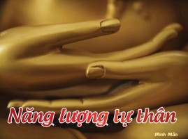 Năng lượng tự thân