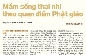 Mầm sống thai nhi theo quan điểm Phật giáo (tiếp theo)