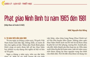 Phật giáo Ninh Bình từ năm 1965 đến 1981