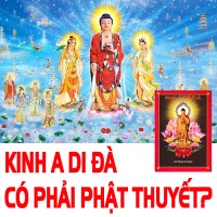 Kinh A Di Đà có phải Phật thuyết?