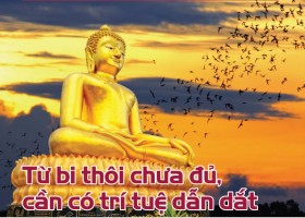 Từ bi thôi chưa đủ, cần có trí tuệ dẫn dắt