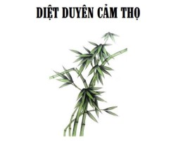 Diệt duyên cảm thọ