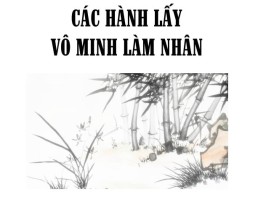 Các Hành lấy Vô minh làm nhân