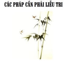 Các pháp cần phải liễu tri