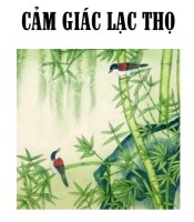 Cảm giác lạc thọ