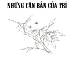 Những căn bản của Trí