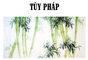 Tùy pháp