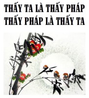 Thấy Ta là thấy Pháp, thấy Pháp là thấy Ta