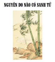 Nguyên do nào có sanh tử