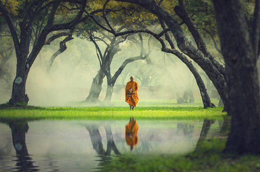 Monk Hike In Deep Forest Reflection With Lake, Buddha Religion Concept