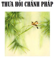 Thưa hỏi Chính pháp