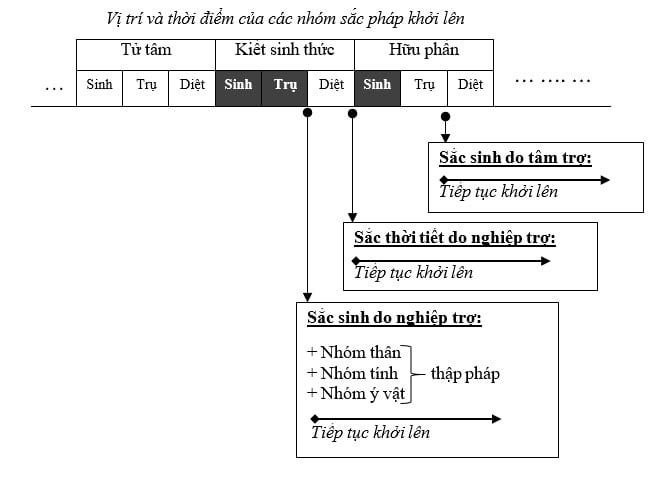 Tap Chi Nghien Cuu Phat Hoc Tim Hieu Ve Sac Uan 7