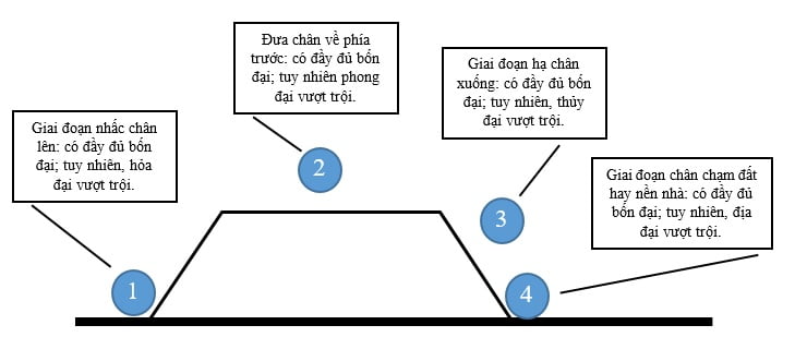 Tap Chi Nghien Cuu Phat Hoc Tim Hieu Ve Sac Uan 8