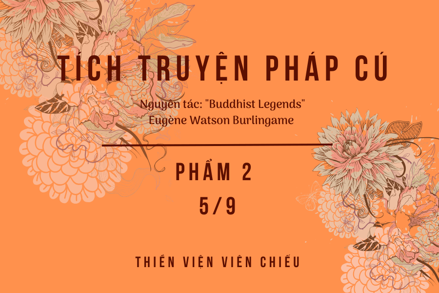 Tích truyện Pháp cú - Phẩm 2 (Phần 5/9)