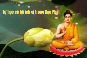 Lợi ích tự học trong đời sống hàng ngày