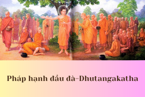 Pháp hạnh đầu đà Dhutangakatha