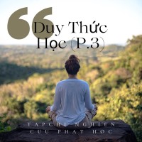 Tóm luận về “Duy Thức học” - Lý luận của Duy Thức (P.3)