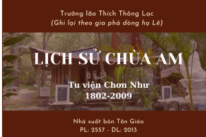 Lịch sử Chùa Am (1802-2009)