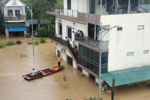 Tình đồng bào