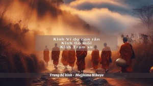 “Pháp” do đức Thế Tôn thuyết để “chỉ rõ chân lý”, không phải “chân lý”