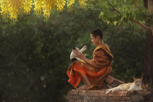 Ăn chay sống khỏe