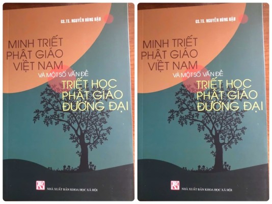 Tóm tắt sách "Minh triết Phật giáo Việt Nam và một số vấn đề triết học Phật giáo đương đại"