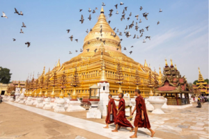 Thơ: Về và Đợi