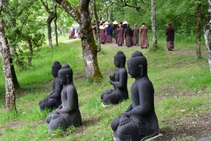 Bộ câu hỏi về Tứ Niệm Xứ ?