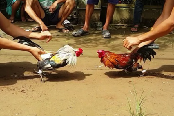 Hình ảnh chỉ mang tính chất minh họa (sưu tầm). Hình ảnh chỉ mang tính chất minh họa (sưu tầm).