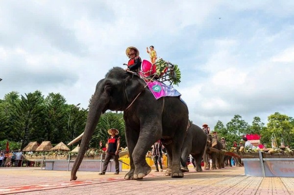 Chùm ảnh 7 ngài voi diễu hành mừng Vesak 2025