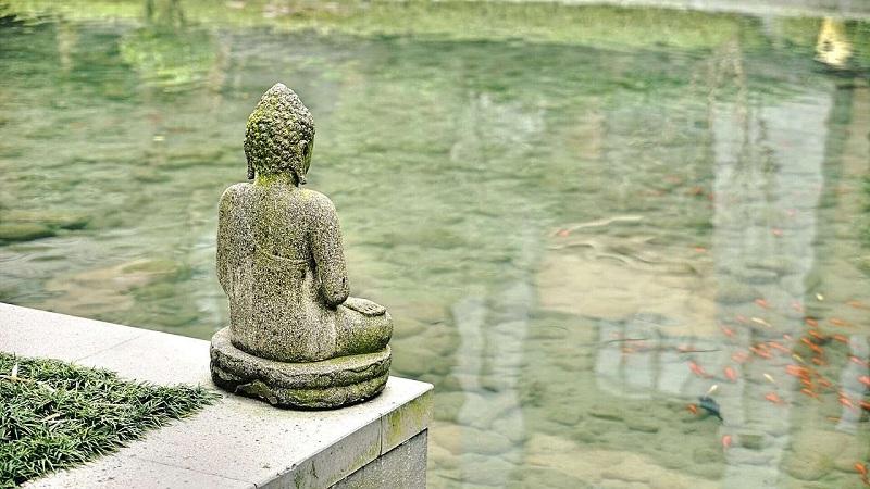 Ai thay ta quyết định số phận?