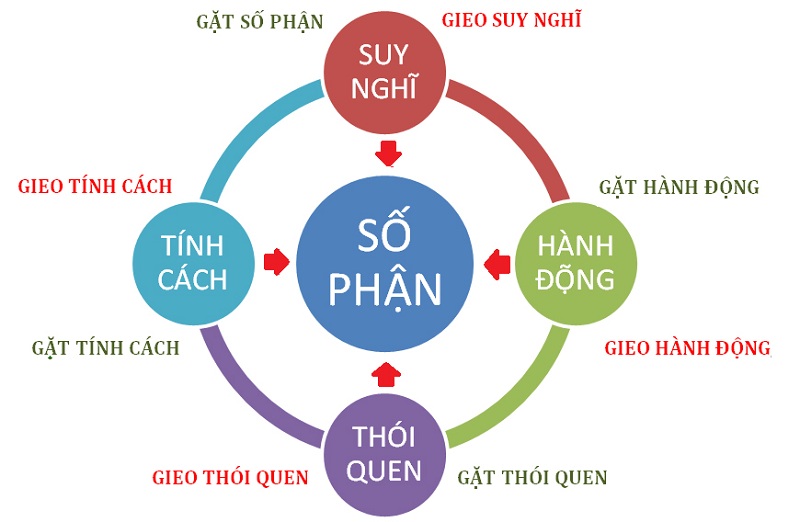 Hình mang tính minh họa Hình mang tính minh họa