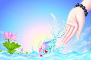 Phóng sinh - mắt xích trong chuỗi cân bằng sinh thái