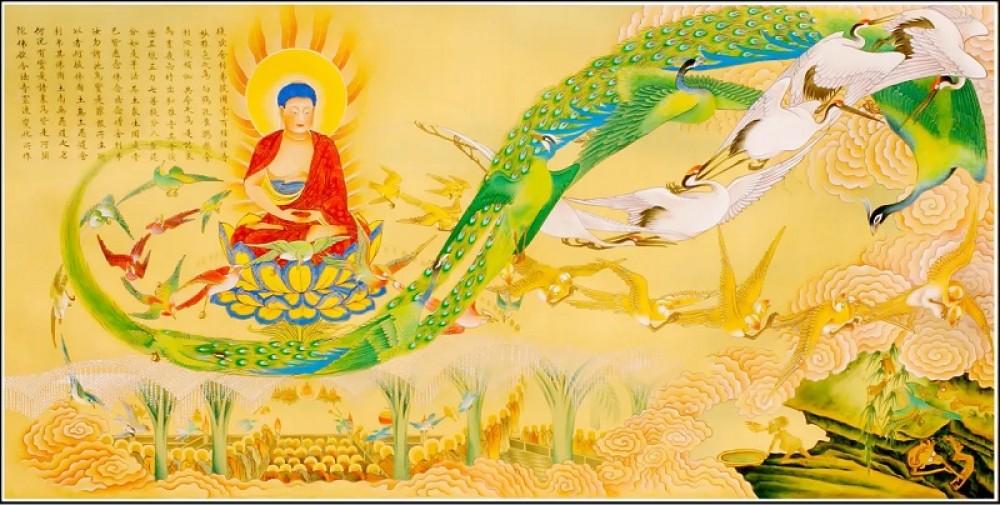 Sáu điểm tương đồng và hai điểm khác biệt trong ba bộ Kinh Tịnh Độ