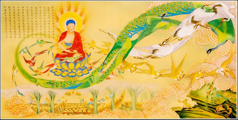 Sáu điểm tương đồng và hai điểm khác biệt trong ba bộ Kinh Tịnh Độ