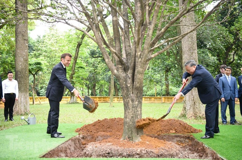 Tổng Bí thư Tô Lâm cùng Tổng thống Emmanuel Macron trồng cây mộc trong Khu Di tích Chủ tịch Hồ Chí Minh (chiều ngày 26/05). Ảnh: Như Ý (tienphong.vn) Tổng Bí thư Tô Lâm cùng Tổng thống Emmanuel Macron trồng cây mộc trong Khu Di tích Chủ tịch Hồ Chí Minh (chiều ngày 26/05). Ảnh: Như Ý (tienphong.vn)