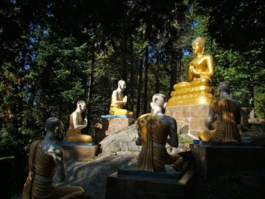 Giới thiệu pháp Thiền nguyên thủy của đức Phật