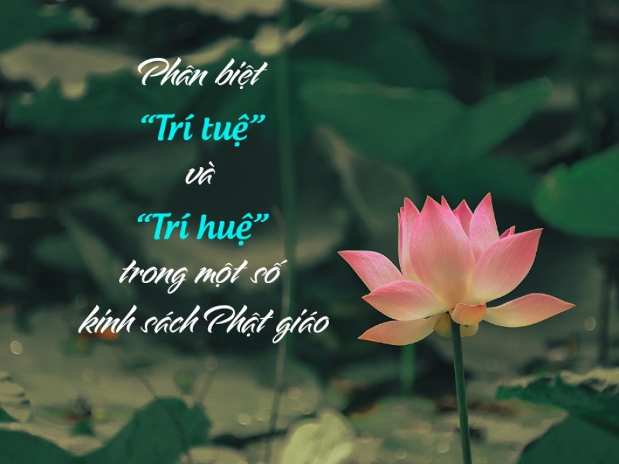 Phân biệt “trí tuệ” và “trí huệ” trong một số kinh sách Phật giáo